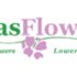 15% off any order + Free Shipping